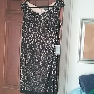 Adrianna  Papell lace sheath dress